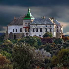 Украинский замок в Олеско